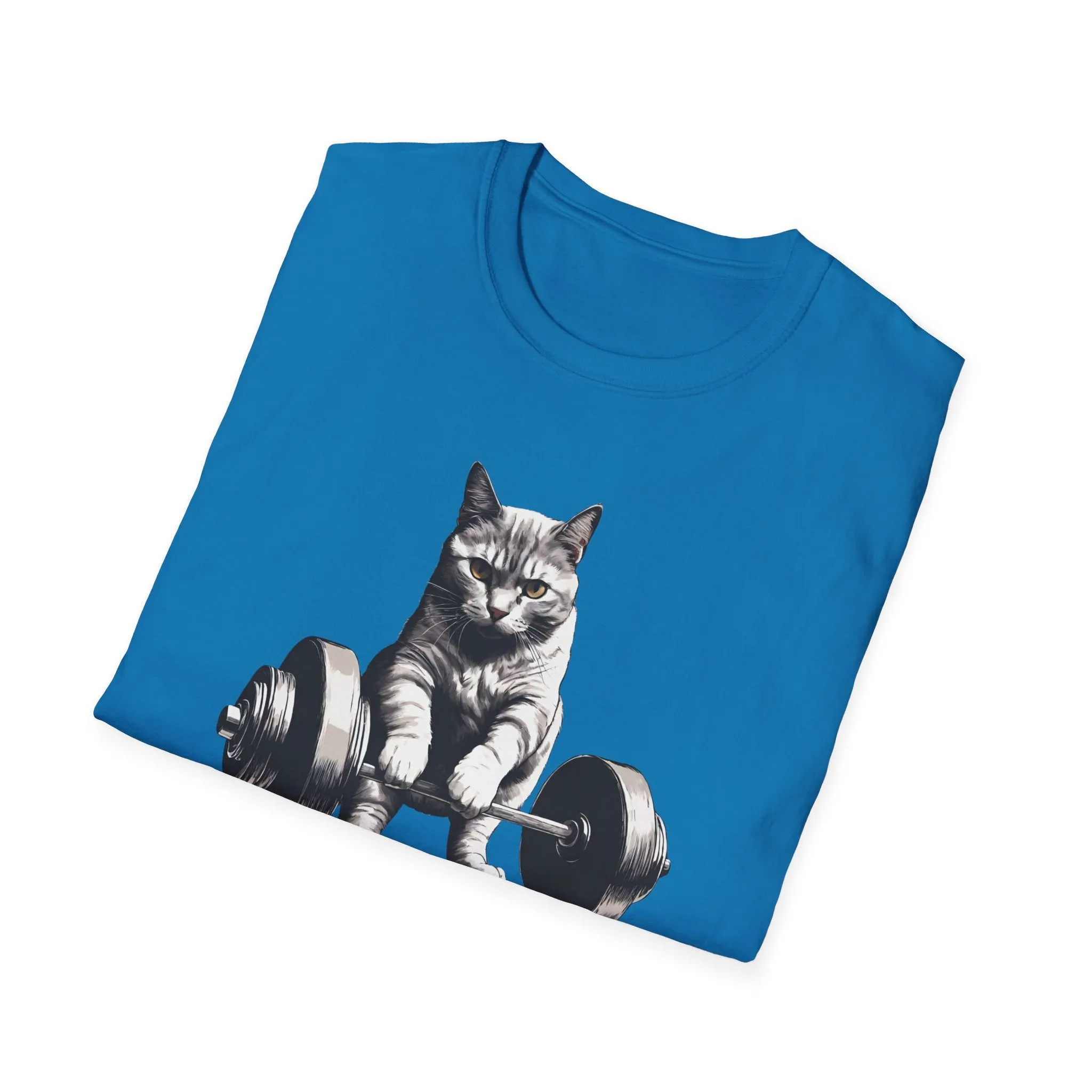 Cat Deadlifting Shirt for Gym Rat gifts for Workout Lover gift for Cat Lover T-shirt Funny Cats Lifting Weights T Shirts Kitty Powerlifting Weightlifting