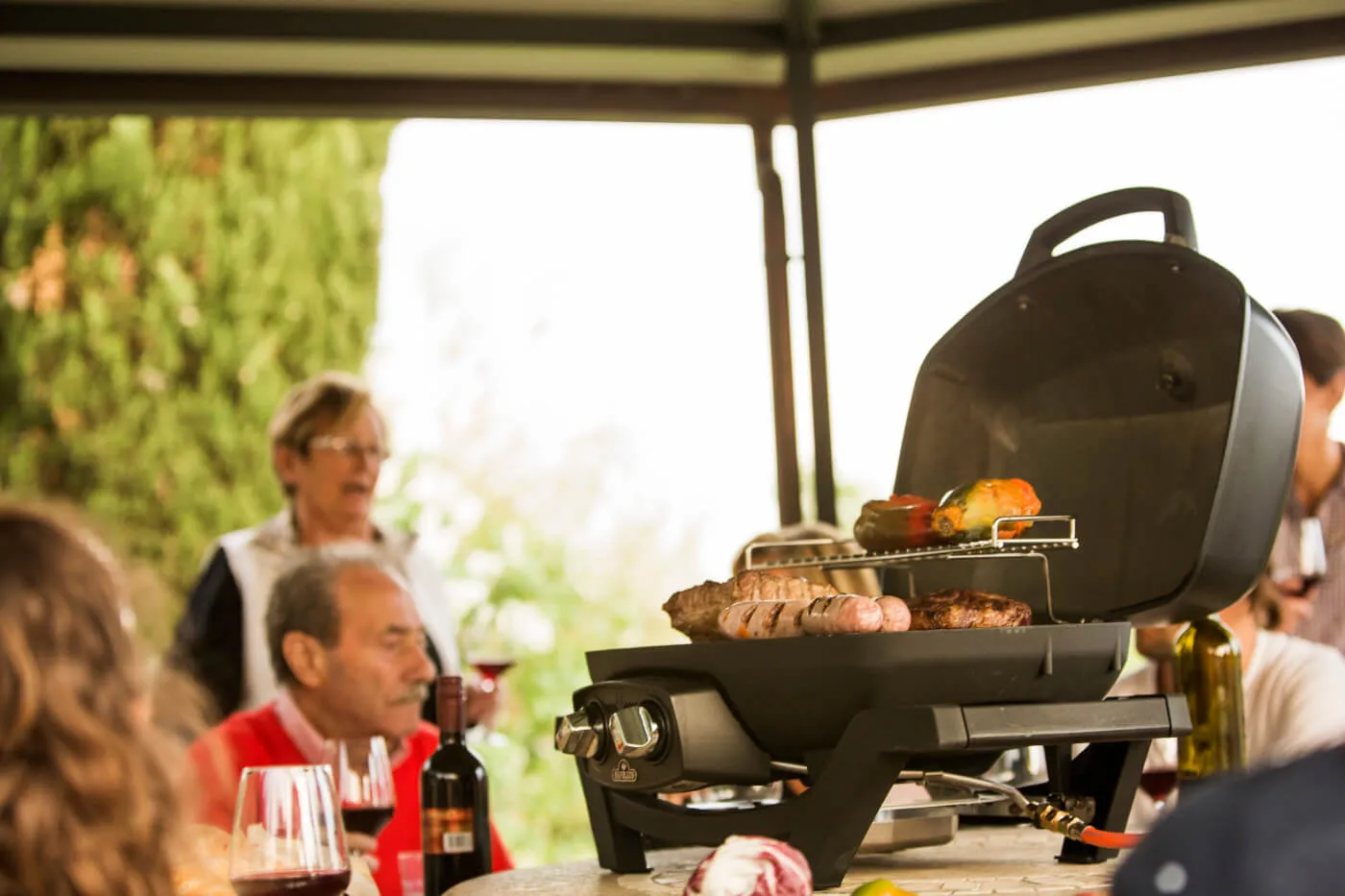 TravelQ™ PRO285 Portable Natural Gas Grill By Napoleon