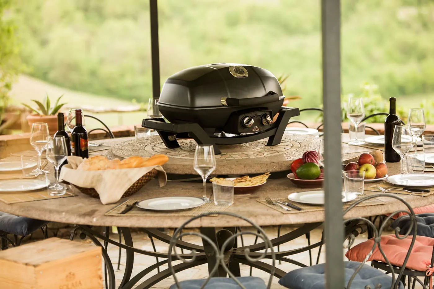 TravelQ™ PRO285 Portable Natural Gas Grill By Napoleon